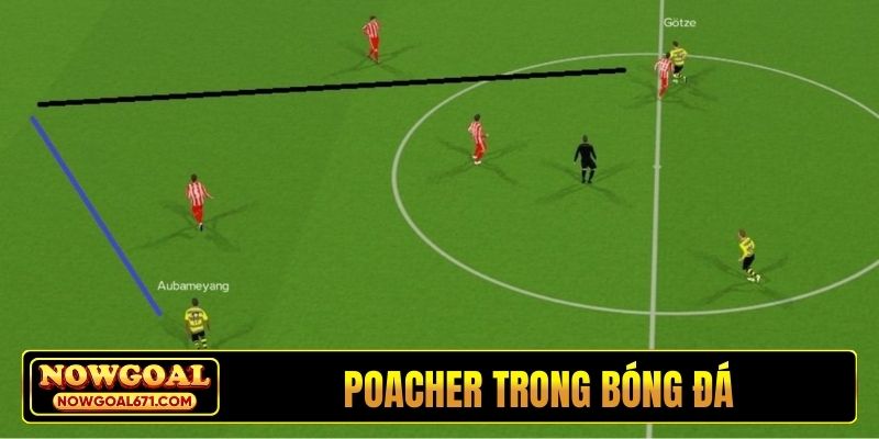 Poacher trong bóng đá